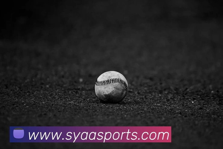 体育下注服务体系